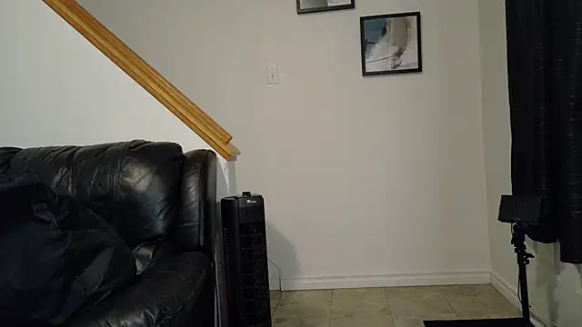 Thekodyy online show from December 15, 1:08 pm