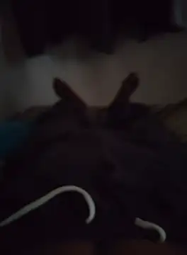 your boy478 online show from September 25, 10:47 am