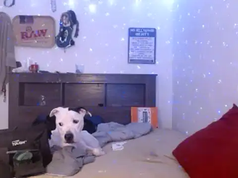 Snapshot of Buffshagswell chatting on January 7, 2:22 am Buffshagswell online show from January 7, 2:22 am