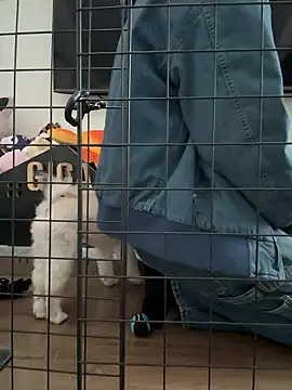 kensnb online show from March 31, 9:38 pm