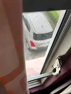 Hxnsovrgon online show from December 2, 2:17 pm