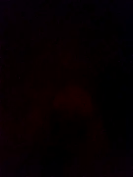 Snapshot of Ozomitro chatting on December 5, 5:18 pm Ozomitro online show from December 5, 5:18 pm