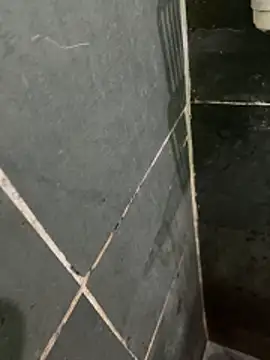 gzn01 online show from December 4, 5:58 am