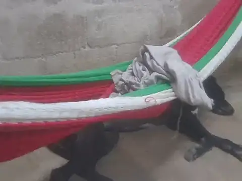 tripexnte online show from February 16, 11:26 pm