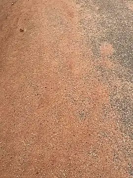 Black mamba madingo online show from March 20, 7:47 am