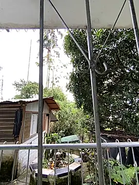 Jestebanano online show from May 4, 4:53 pm