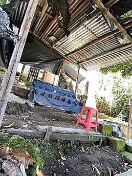Jestebanano online show from May 26, 3:41 pm