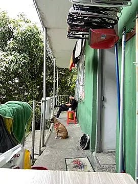 Jestebanano online show from May 11, 2:45 pm