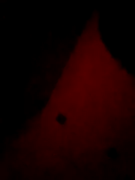 Mieto  online show from April 17, 3:20 am