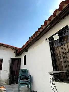 Leo bunny hot online show from October 2, 6:56 pm