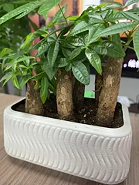 wiktor1980 online show from April 28, 6:51 am