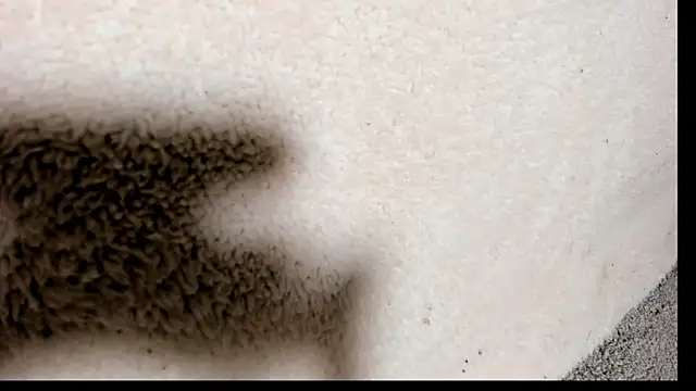 Brock hurn1 online show from September 15, 2:03 am