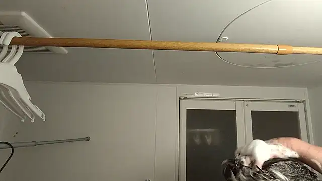 53kkkkkk online show from April 29, 4:28 am