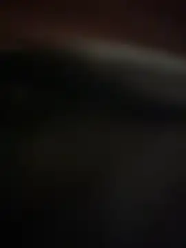 Jan berger online show from January 20, 4:45 pm