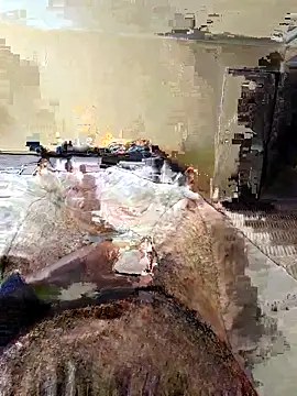 timoharem91 online show from February 21, 6:15 pm