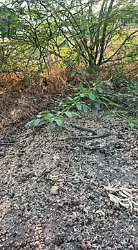 tamil000000 online show from March 10, 1:56 am