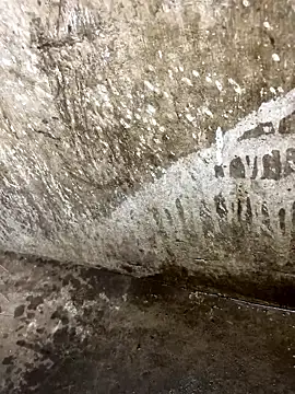 tamil000000 online show from January 12, 1:04 pm