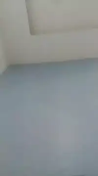 Dexiboy online show from January 7, 5:31 pm