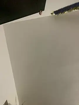 RicarBer online show from April 26, 9:33 pm