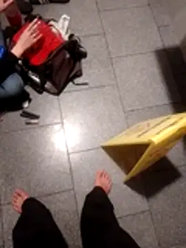 subaru8291 online show from October 30, 11:55 am