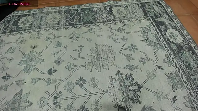 Jeffry wolvess online show from March 4, 12:17 am