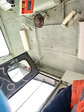 salvat22 online show from March 20, 12:20 pm