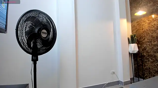 Flynn Riider online show from February 11, 11:32 am