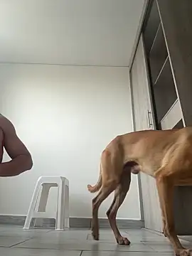 boss of cash online show from February 13, 7:30 pm