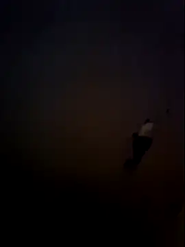 Leinad27 online show from November 12, 12:05 am