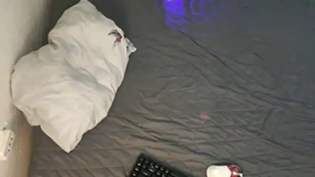 kyle 898 online show from December 2, 1:47 pm