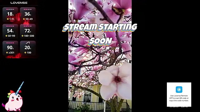 Hackensackneil online show from April 16, 2:00 am