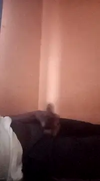 Kwanele854 online show from February 18, 4:05 pm