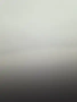 warrior99  online show from January 2, 8:13 pm