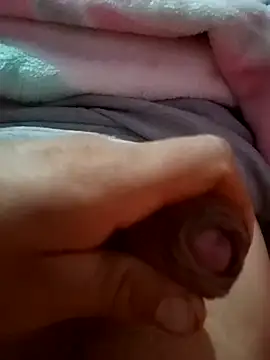 mmarvis za78 93 21cm online show from October 31, 1:18 am