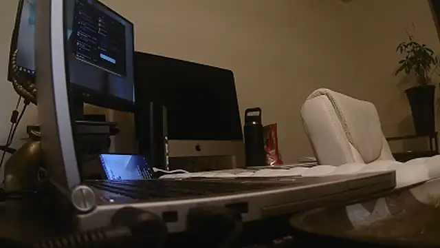 MrDaddyBbSnake online show from April 24, 2:03 am