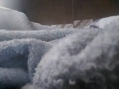 LaneYam online show from April 21, 5:24 am