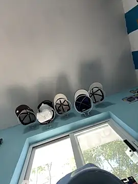 polla20 online show from November 5, 5:48 pm