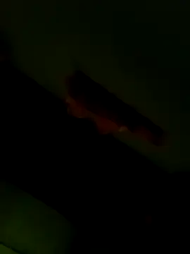 Raj41 online show from January 6, 12:58 am