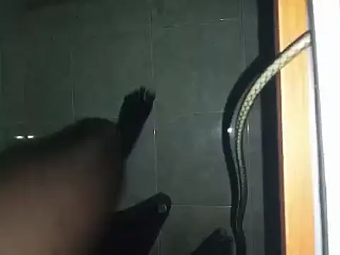 world bigdick1 online show from March 2, 6:48 am