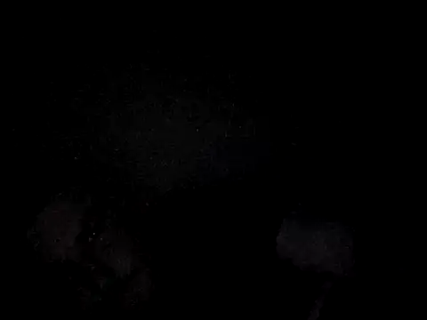 Foxtrott 242 online show from September 8, 11:48 pm