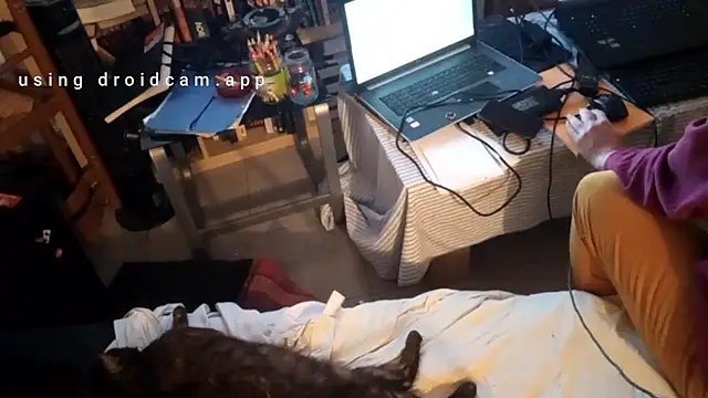 Mastersanges online show from April 20, 7:27 pm