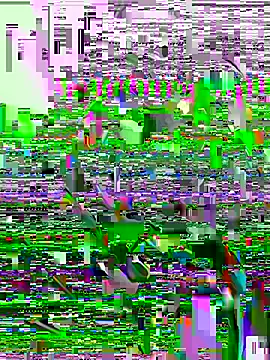 Bichorro online show from September 27, 7:45 pm