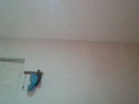 bafeng online show from July 24, 9:38 am