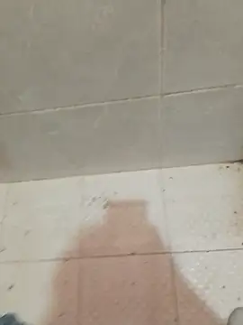 enoc369 online show from April 23, 5:04 pm