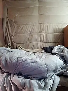 jimbosex6969 online show from March 19, 5:27 pm