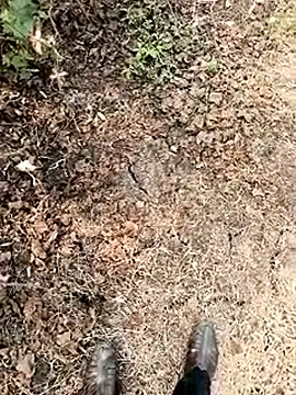 himvilohi08 online show from January 7, 6:18 am