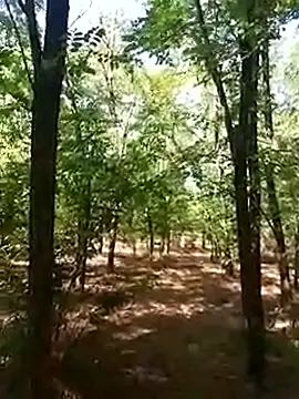 sile47 online show from September 16, 7:42 am