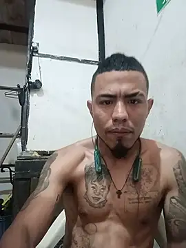 Trigongo online show from July 8, 2:43 pm