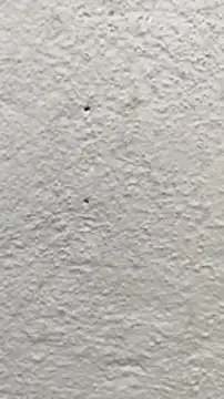 maher990 online show from February 12, 10:16 pm