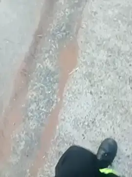 dickcurved38 online show from December 5, 4:19 am